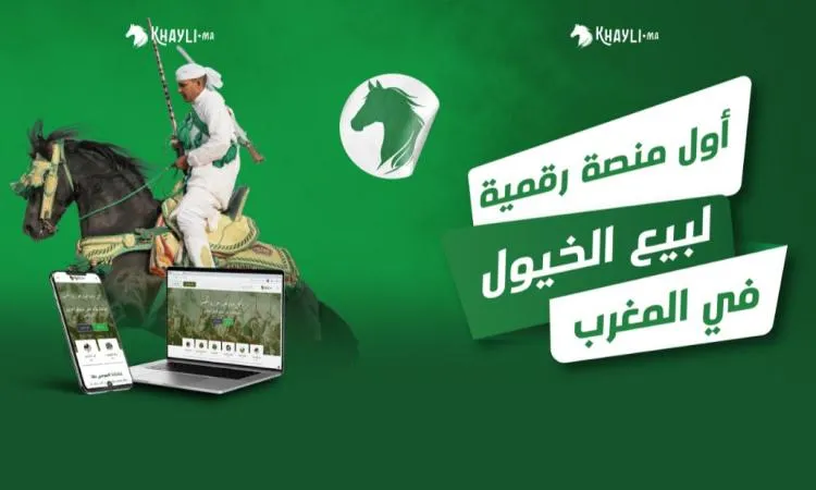 khayli.ma اكتشف حصان أحلامك أو ابحث عن المشتري المناسب على منصة
